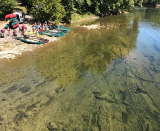 eager canoe participants getting ready for their float Downriver Canoe Company Shenandoah Valley River